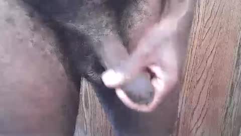 Snapshot of snkr1244 chatting on 09-13-25, 06:29 snkr1244 online show from 09-13-25, 06:29