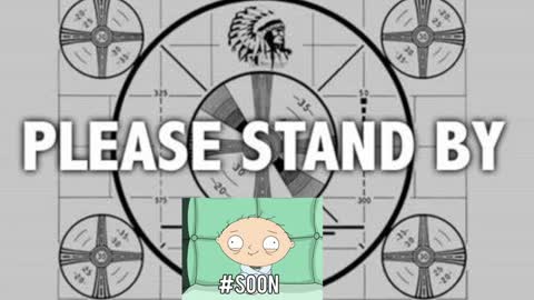 kitten online show from 12-01-24, 06:19