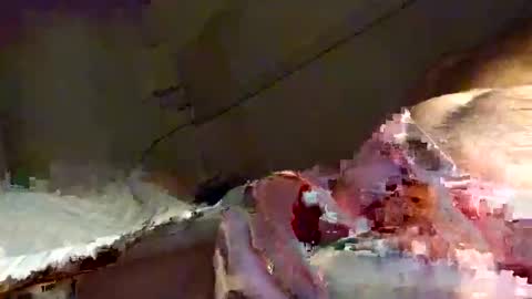 Snapshot of snooty05 chatting on 01-16-25, 10:23 Snooty online show from 01-16-25, 10:23