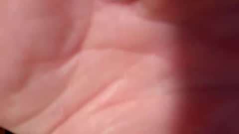 Snapshot of snooty05 chatting on 02-10-25, 10:51 Snooty online show from 02-10-25, 10:51