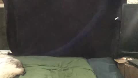 Snapshot of snowsurfer2 chatting on 11-01-25, 01:51 Riley Ray online show from 11-01-25, 01:51