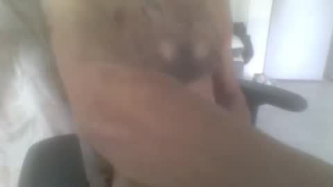 Snapshot of sodomite754 chatting on 11-09-25, 05:06 sodomite754 online show from 11-09-25, 05:06