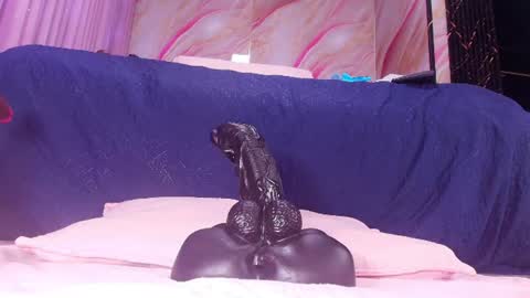 Snapshot of sofi_decker chatting on 06-29-26, 03:02 Sofia online show from 06-29-26, 03:02