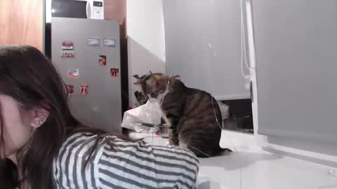 Sofi online show from 02-11-25, 07:38