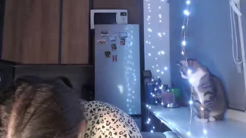 Sofi online show from 10-23-25, 09:13