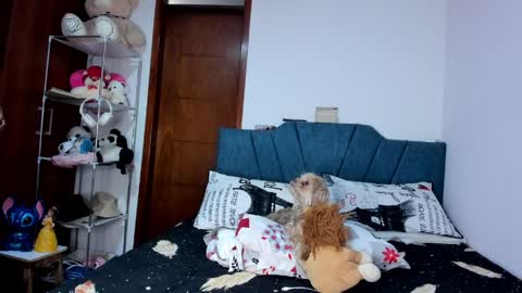 sofia86379 online show from 03-17-26, 07:50