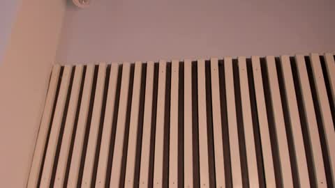 Sofie online show from 11-11-25, 02:39