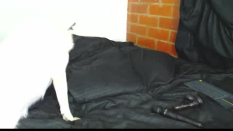  Sofy  online show from 02-21-26, 03:07