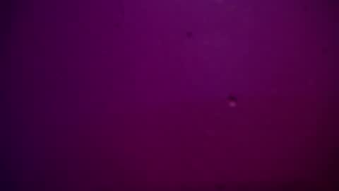 Snapshot of sommer_alexa chatting on 12-28-24, 11:26 Alexa online show from 12-28-24, 11:26