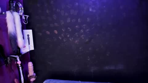 Snapshot of sommer_alexa chatting on 02-27-25, 11:48 Alexa online show from 02-27-25, 11:48