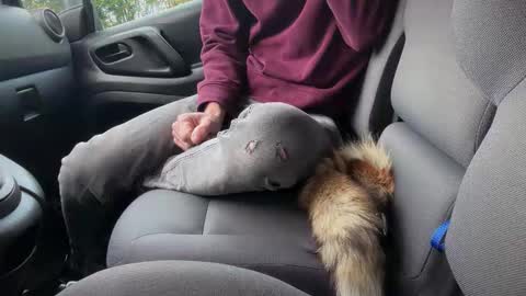 Sondages online show from 11-06-25, 08:04