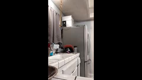 sophia1lux online show from 12-15-25, 01:43