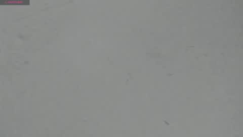Snapshot of sophia_ebony___ chatting on 04-29-26, 12:09 sophia_ebony___ online show from 04-29-26, 12:09