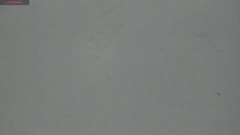 Snapshot of sophia_ebony___ chatting on 04-30-26, 12:11 sophia_ebony___ online show from 04-30-26, 12:11