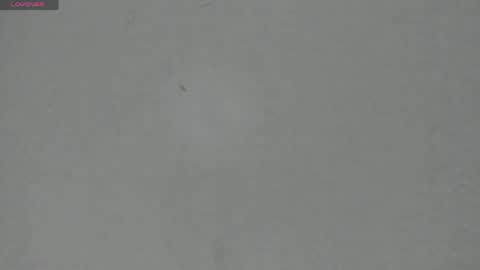 Snapshot of sophia_ebony___ chatting on 05-06-26, 11:59 sophia_ebony___ online show from 05-06-26, 11:59