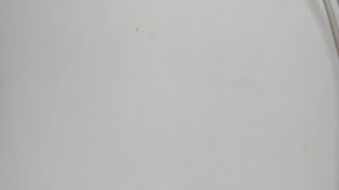 Snapshot of sophia_ebony___ chatting on 05-19-26, 12:00 sophia_ebony___ online show from 05-19-26, 12:00