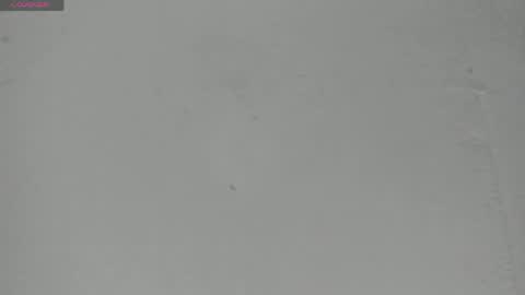 Snapshot of sophia_ebony___ chatting on 05-23-26, 12:09 sophia_ebony___ online show from 05-23-26, 12:09