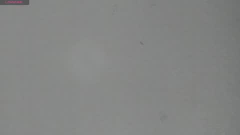 Snapshot of sophia_ebony___ chatting on 06-05-26, 12:11 sophia_ebony___ online show from 06-05-26, 12:11