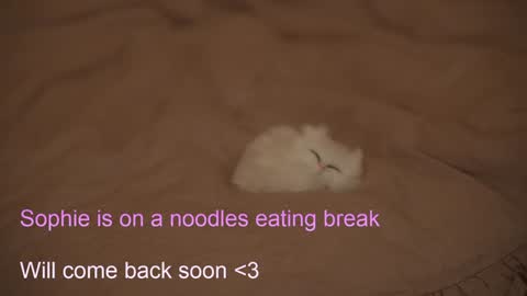 Snapshot of sophiephoria chatting on 02-06-25, 07:40 Sophie Next stream 3 online show from 02-06-25, 07:40