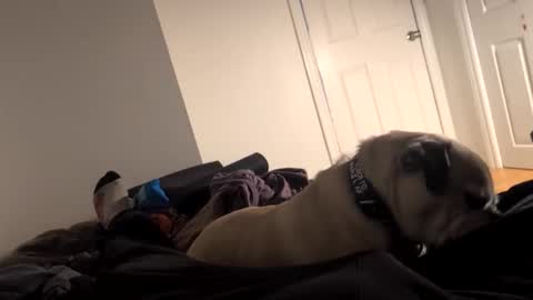 souls6207 online show from 03-15-26, 08:31