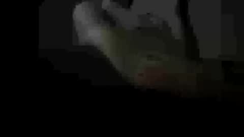 Snapshot of soulsurfer1985 chatting on 03-11-26, 08:42 soulsurfer1985 online show from 03-11-26, 08:42