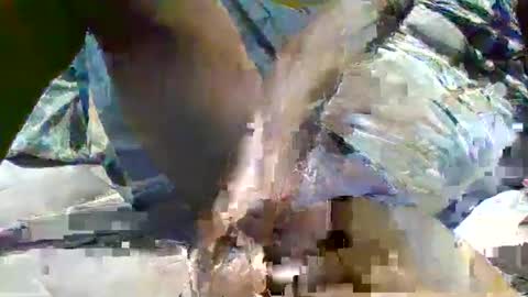 Snapshot of source1012 chatting on 01-16-25, 11:59 source1012 online show from 01-16-25, 11:59