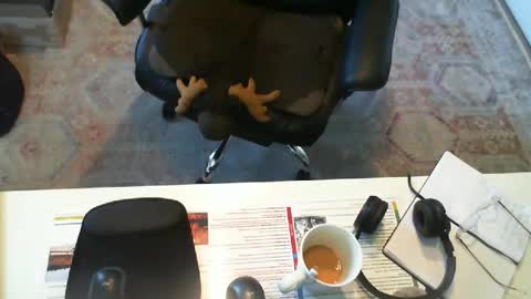 Snapshot of southernbones chatting on 09-29-25, 03:06 SOUTHERNBONES online show from 09-29-25, 03:06