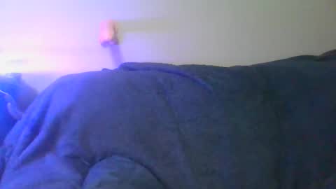 Scottietee online show from 04-11-26, 07:45