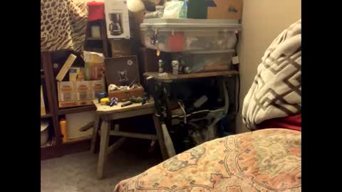 spermdoner23 online show from 11-10-25, 01:32