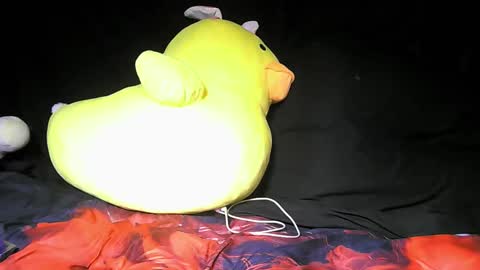 Daddy  His Splash Queen online show from 12-05-25, 04:43