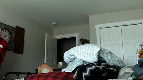 sportfish online show from 02-21-26, 10:33