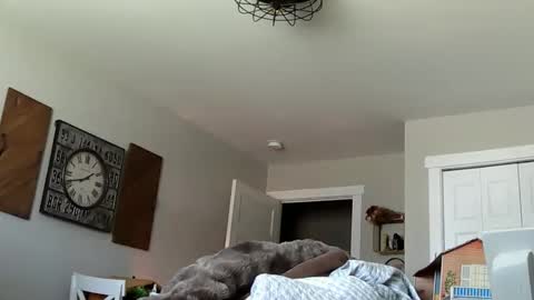 sportfish online show from 04-04-26, 06:38