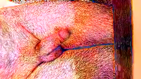 sprayx online show from 02-08-26, 11:35