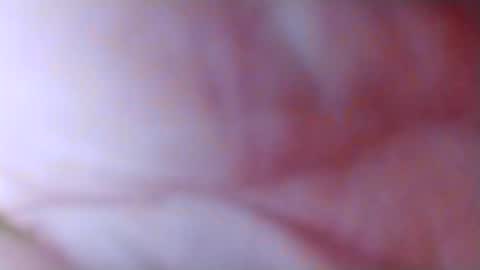 Snapshot of spun_horndaddy chatting on 11-04-25, 10:58 SpunSlut online show from 11-04-25, 10:58