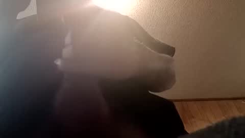 spundsrt online show from 02-24-25, 12:48