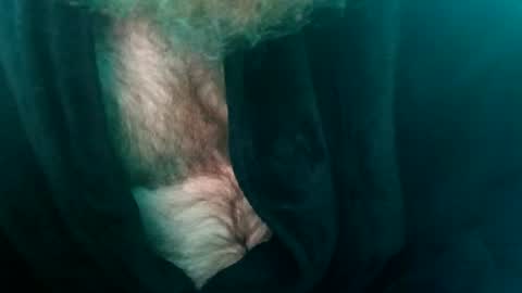 Snapshot of spunfuncumming chatting on 07-10-26, 10:07 spunfuncumming online show from 07-10-26, 10:07