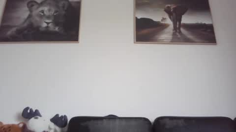 spyco82 online show from 02-23-25, 09:11