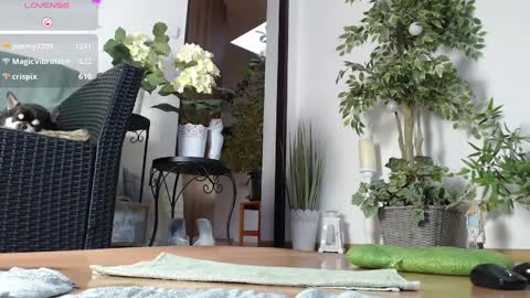 Snapshot of squirtmanica chatting on 01-01-25, 07:20 Monica online show from 01-01-25, 07:20