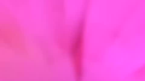 Snapshot of sqwtutlpjvmz chatting on 07-26-26, 03:58 YourdirtysecretxMae online show from 07-26-26, 03:58