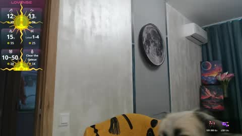 Snapshot of stacy_davise chatting on 05-28-26, 11:40 STACY online show from 05-28-26, 11:40