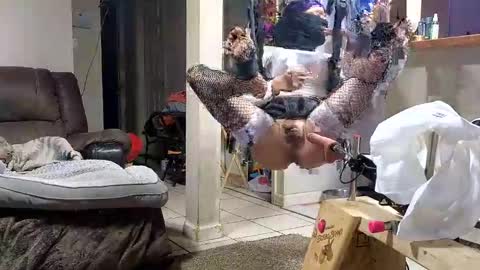 Snapshot of stacytasteme chatting on 11-12-25, 07:20 Submissive Slut LOVES adoration online show from 11-12-25, 07:20