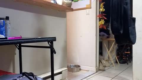 Snapshot of stacytasteme chatting on 11-20-25, 03:18 Submissive Slut LOVES adoration online show from 11-20-25, 03:18