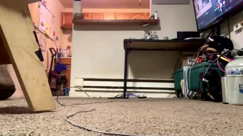 Snapshot of stacytasteme chatting on 02-21-26, 04:41 Submissive Slut LOVES adoration online show from 02-21-26, 04:41