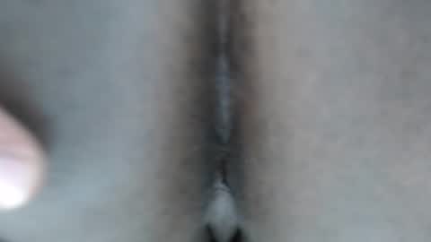 calvin online show from 01-10-26, 11:56