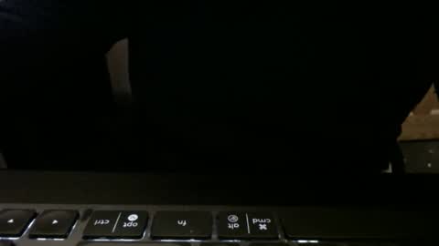 Snapshot of stargazer1069 chatting on 11-13-25, 09:52 stargazer1069 online show from 11-13-25, 09:52