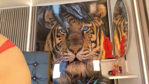 startevans online show from 03-14-26, 04:18