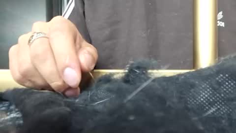 Katalleya and Steban online show from 01-11-25, 05:31