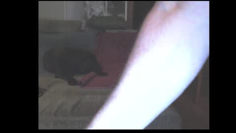 stefangeil123 online show from 03-21-26, 12:59