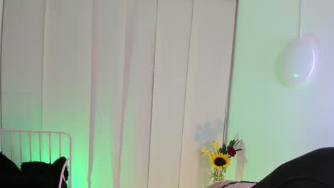 Steffy online show from 01-06-25, 06:58