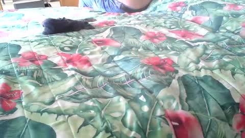 Snapshot of stel7621 chatting on 10-16-25, 01:56 Rocco-load online show from 10-16-25, 01:56